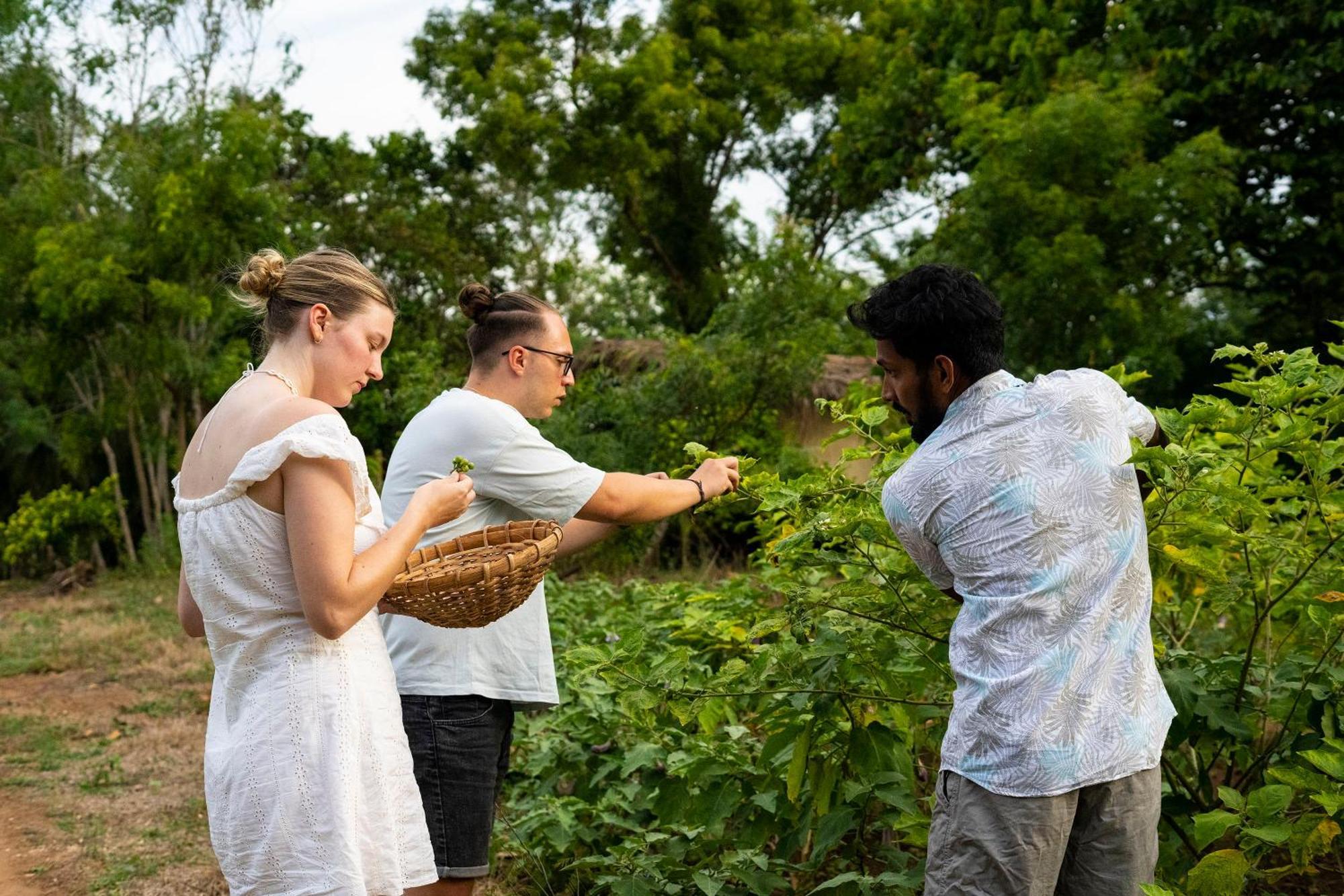 River Paradise Safari House With Cooking Class Udawalawe Buitenkant foto