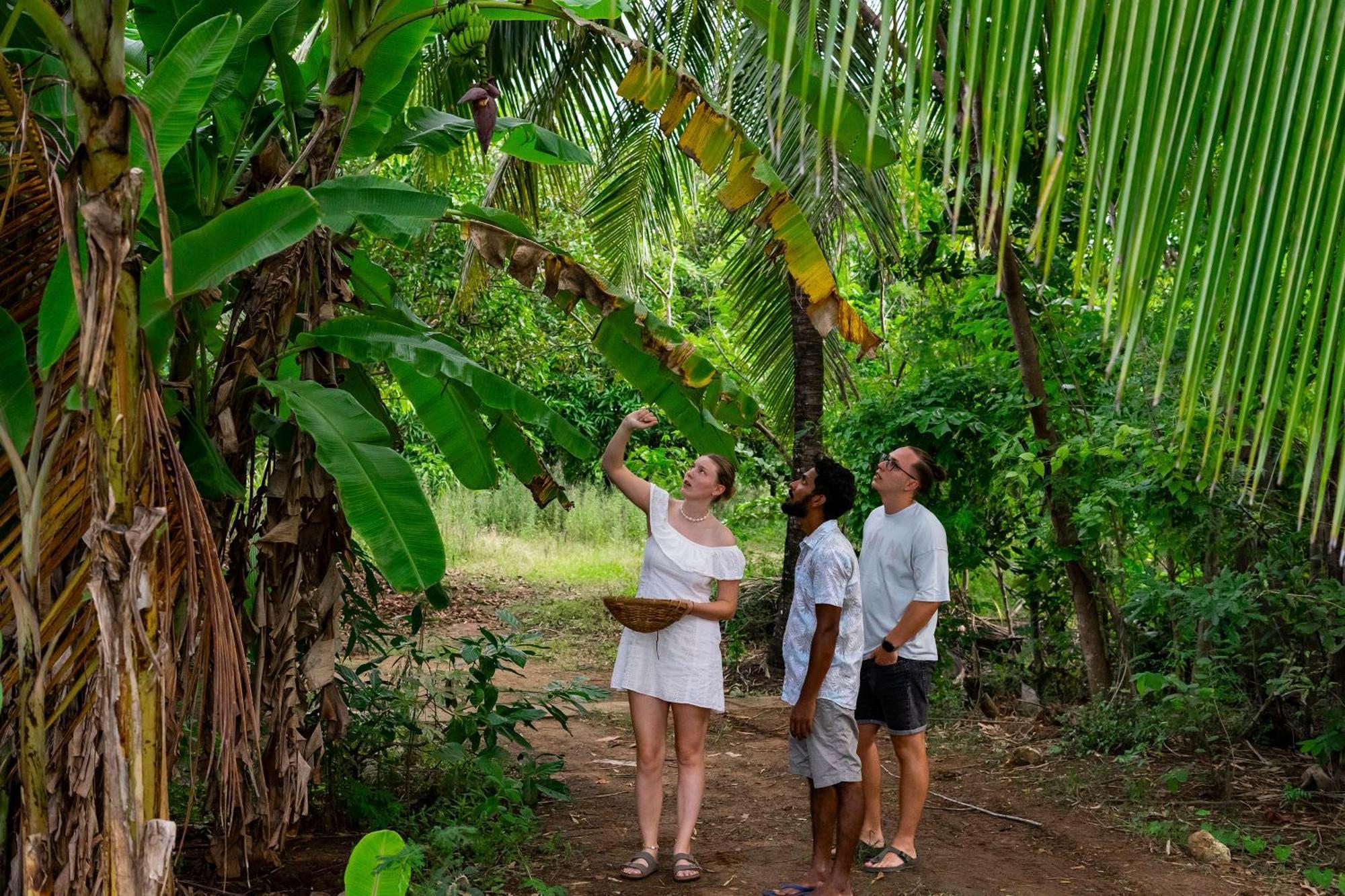 River Paradise Safari House With Cooking Class Udawalawe Buitenkant foto