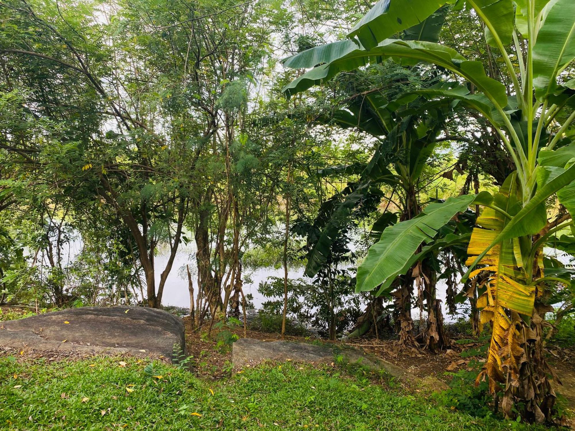 River Paradise Safari House With Cooking Class Udawalawe Buitenkant foto