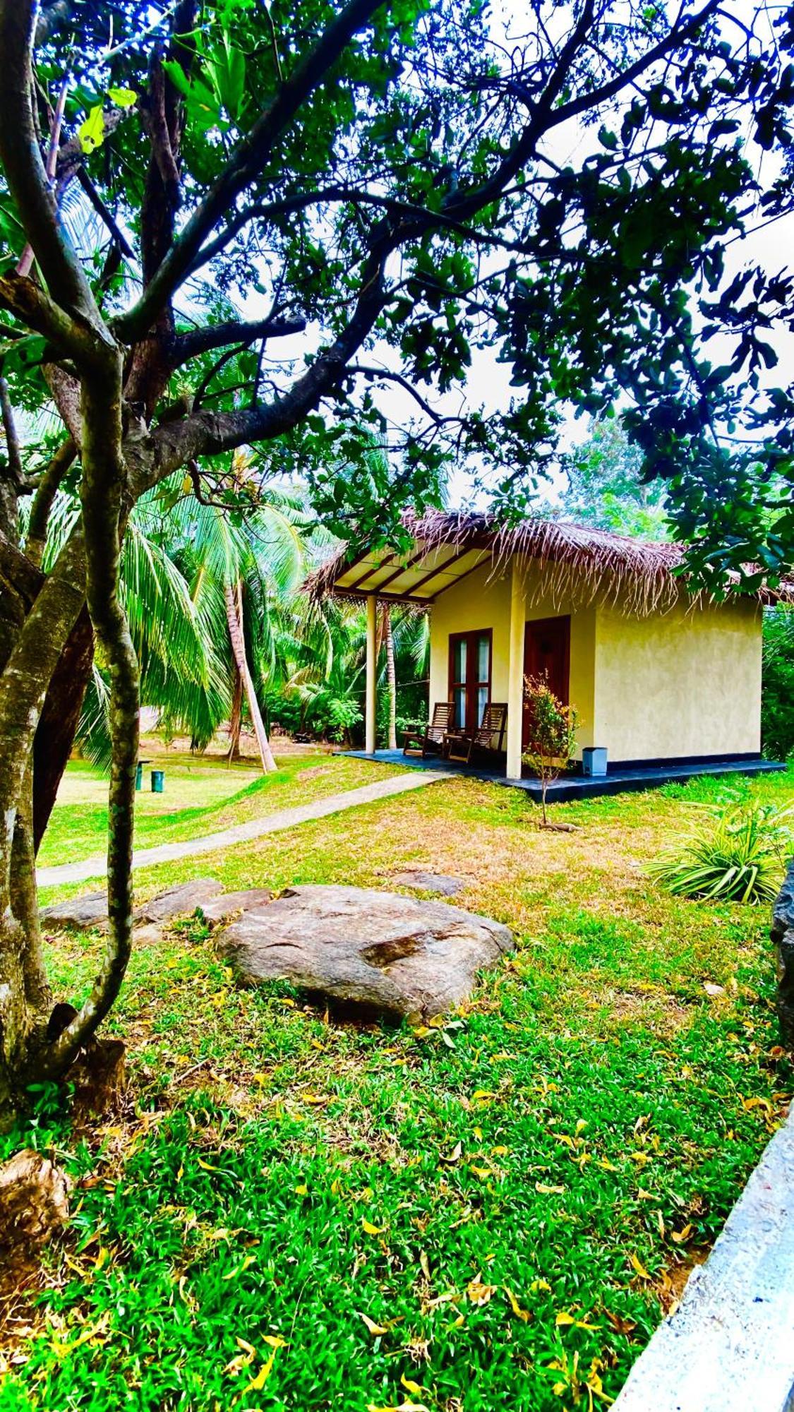 River Paradise Safari House With Cooking Class Udawalawe Buitenkant foto